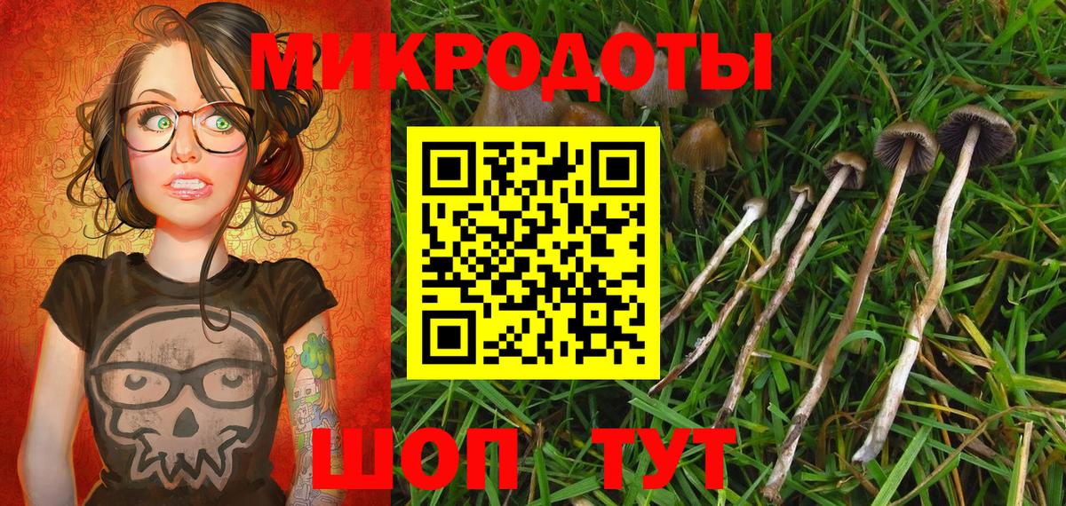 Галлюциногенные грибы MAGIC MUSHROOMS  Вход с VPN  Галлюциногенные грибы Psilocybine cubensis  Тейково 